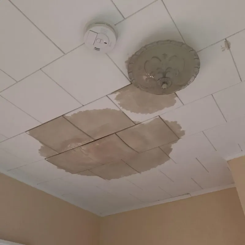 Ceiling Water Damage Repair in Fairview, NC