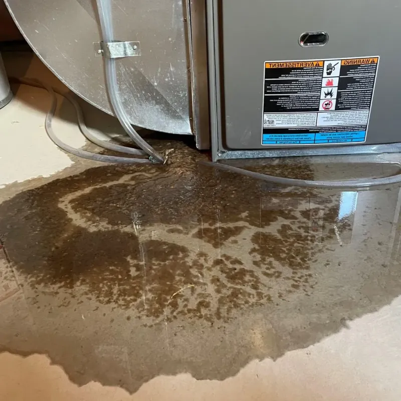 Pipe Burst and Leak Restoration in Fairview, NC