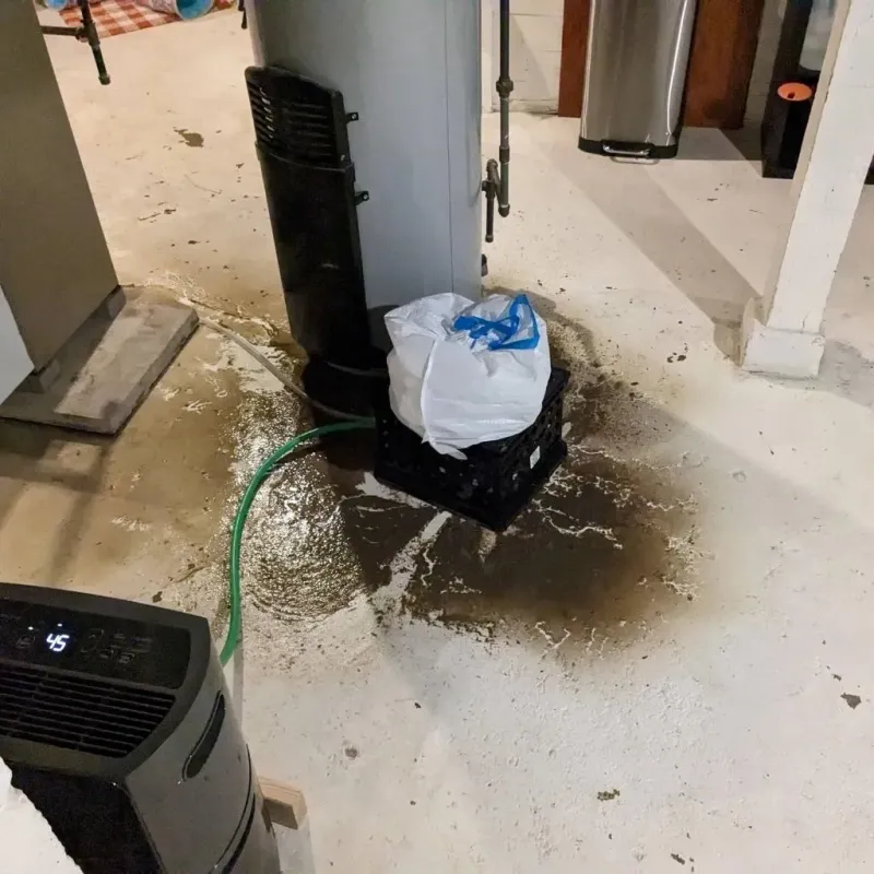 Sewage Backup Cleanup Service in Fairview, NC